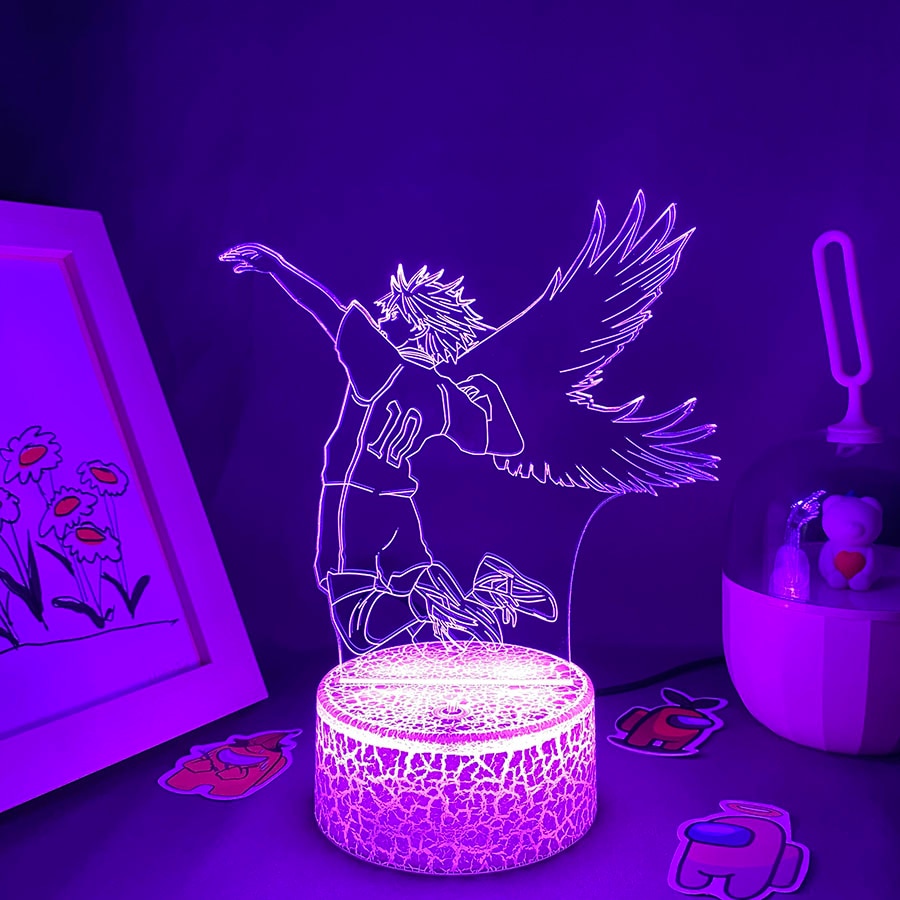 Haikyuu 10 Hinata Shoyo 3D LED Night Light