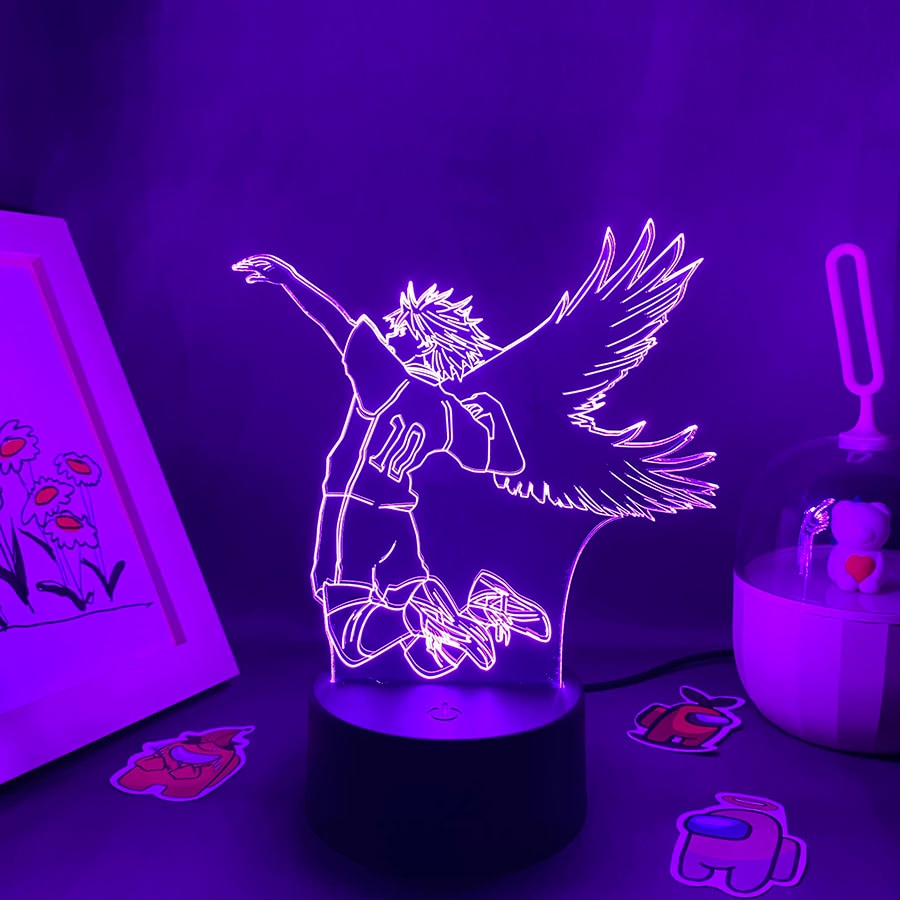 Haikyuu 10 Hinata Shoyo 3D LED Night Light