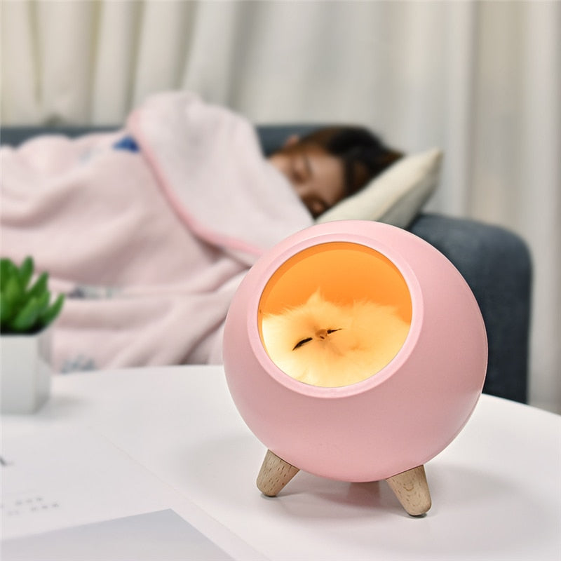 Sleeping Cat LED Night Light