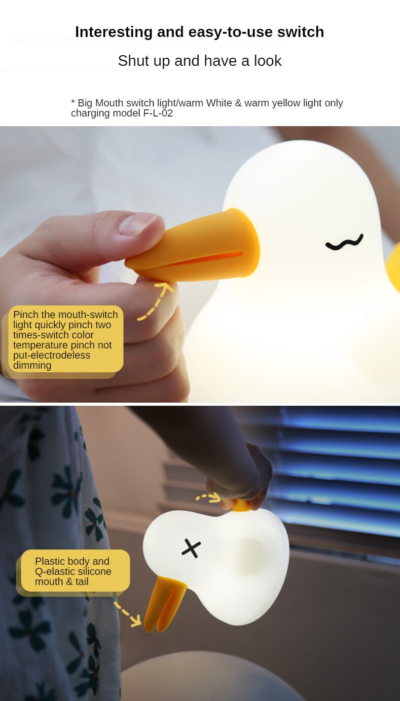 Kiwi Bird Night Light