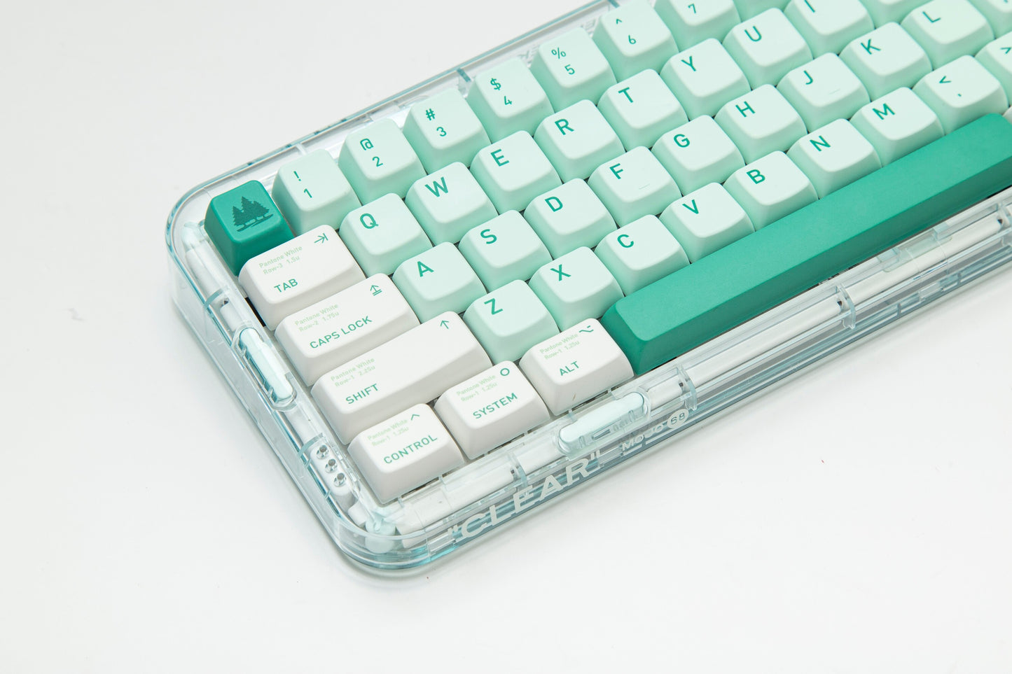 الغابات المفقودة PBT MDA Profile Keycaps