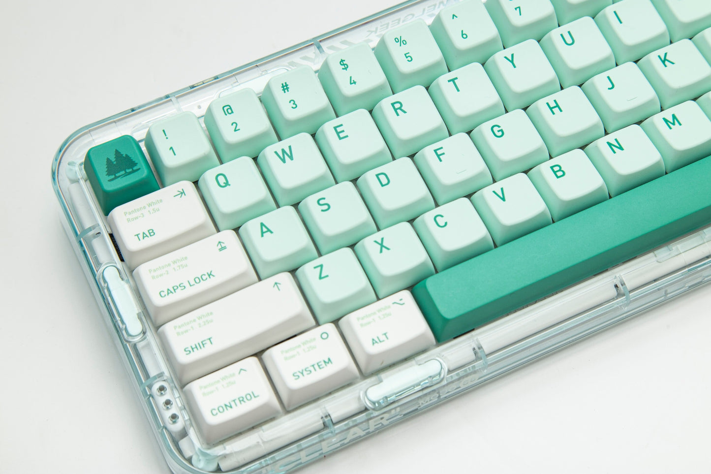 الغابات المفقودة PBT MDA Profile Keycaps