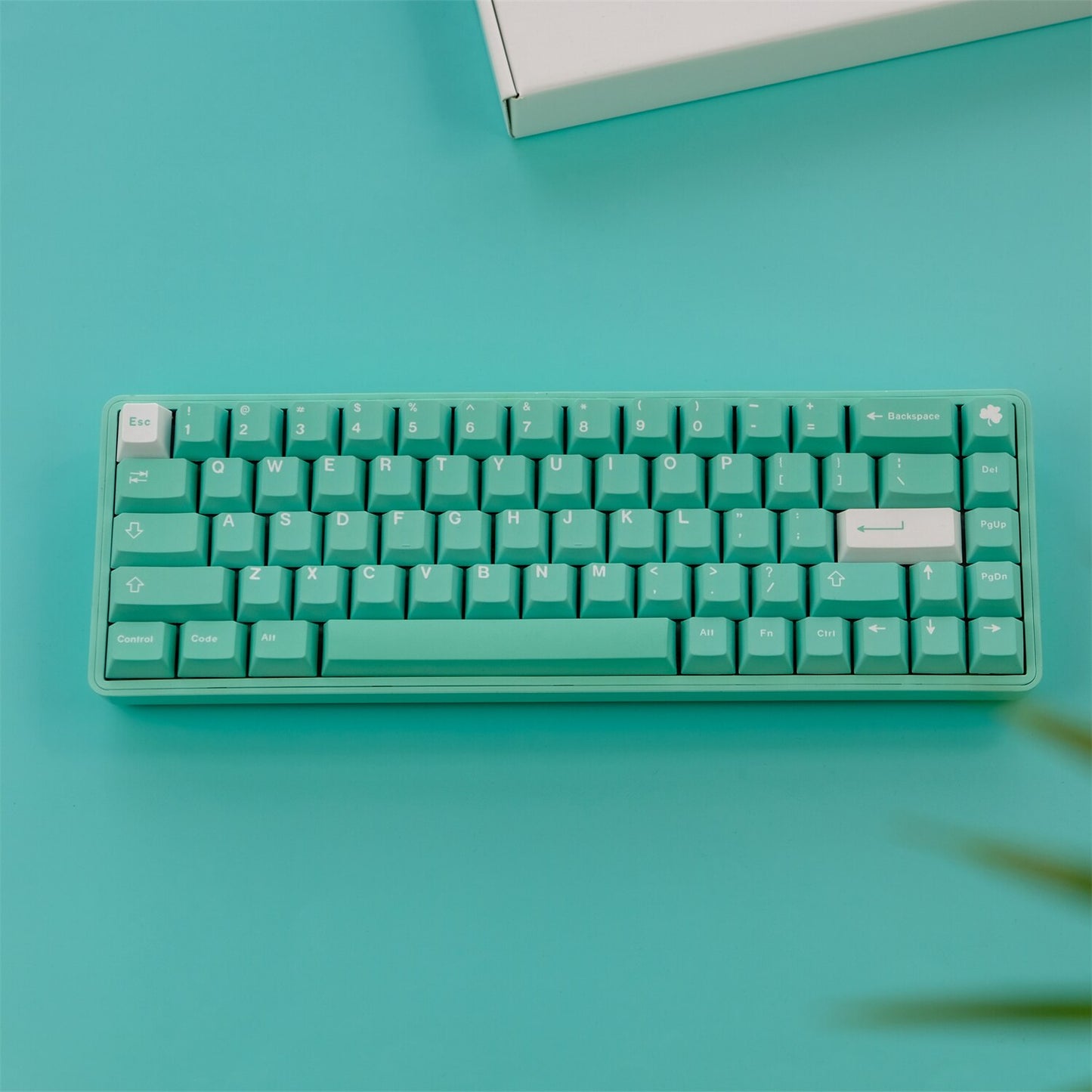 ملف تعريف الكرز PBT Keycaps البرسيم