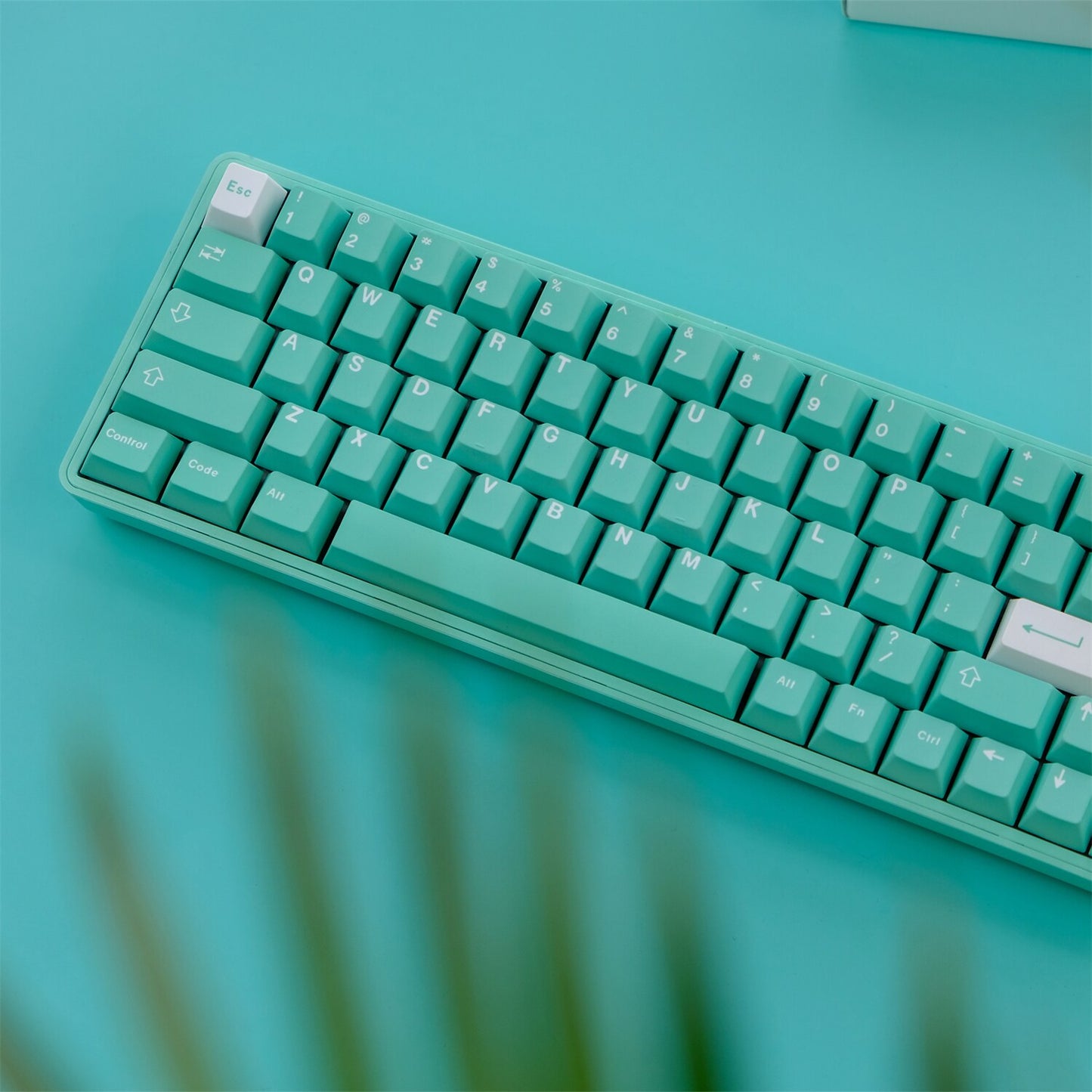 ملف تعريف الكرز PBT Keycaps البرسيم