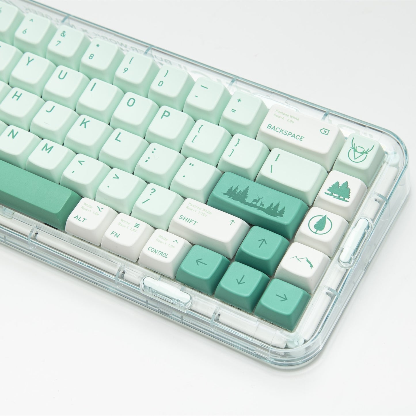 الغابات المفقودة PBT MDA Profile Keycaps