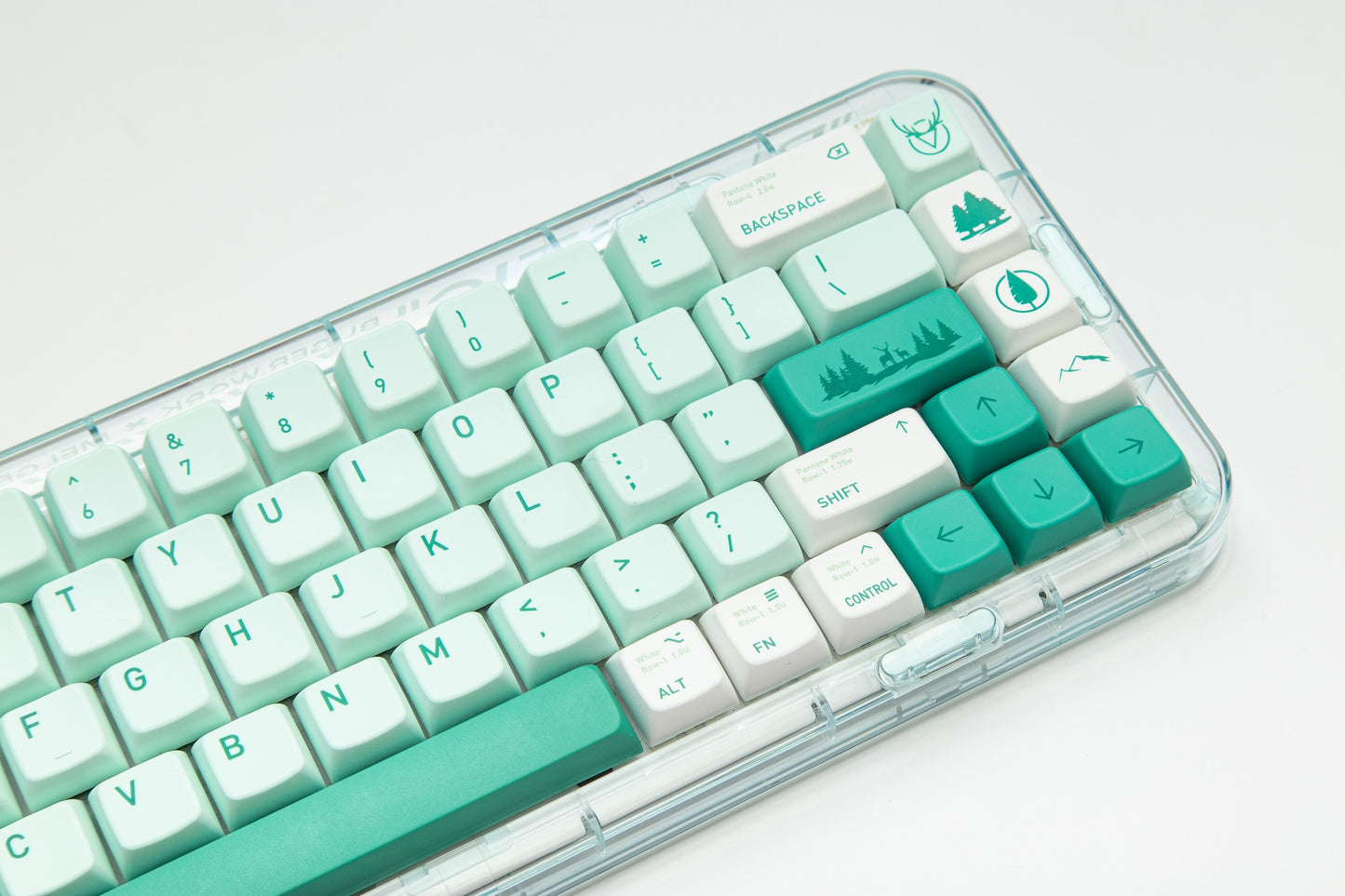 الغابات المفقودة PBT MDA Profile Keycaps