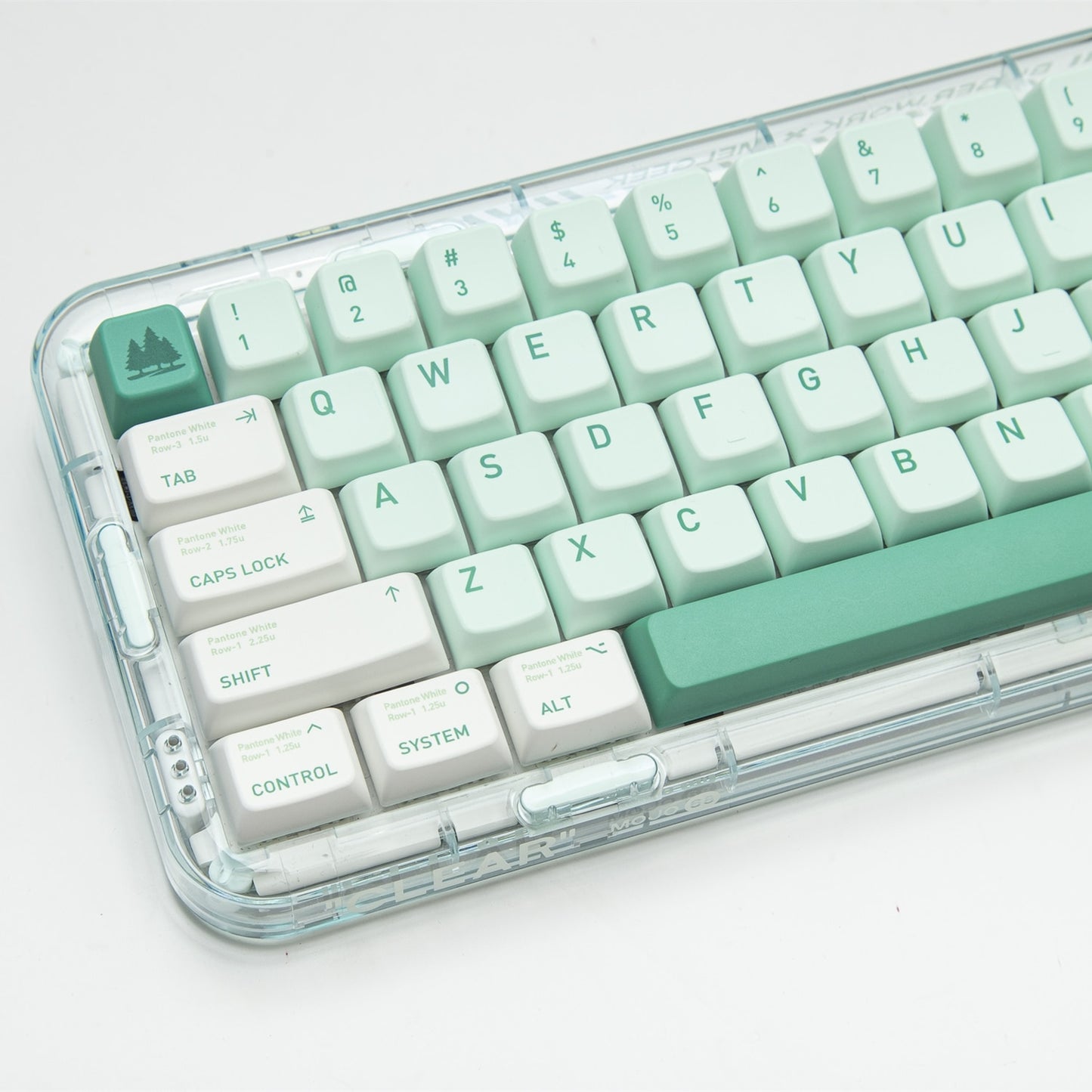 الغابات المفقودة PBT MDA Profile Keycaps