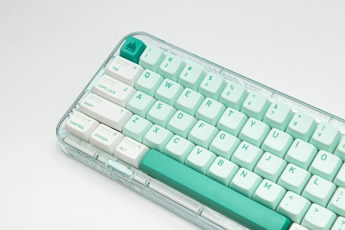 الغابات المفقودة PBT MDA Profile Keycaps