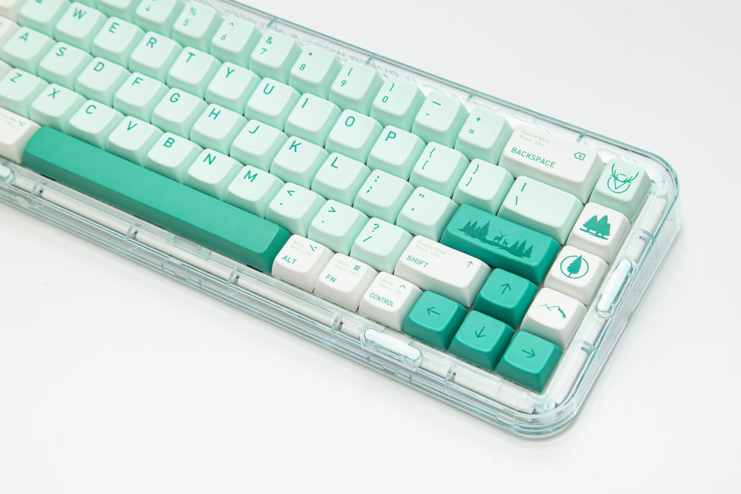 الغابات المفقودة PBT MDA Profile Keycaps