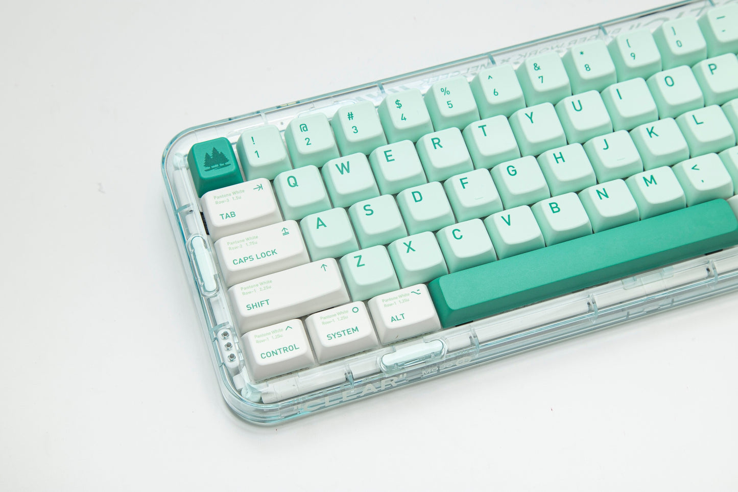 الغابات المفقودة PBT MDA Profile Keycaps