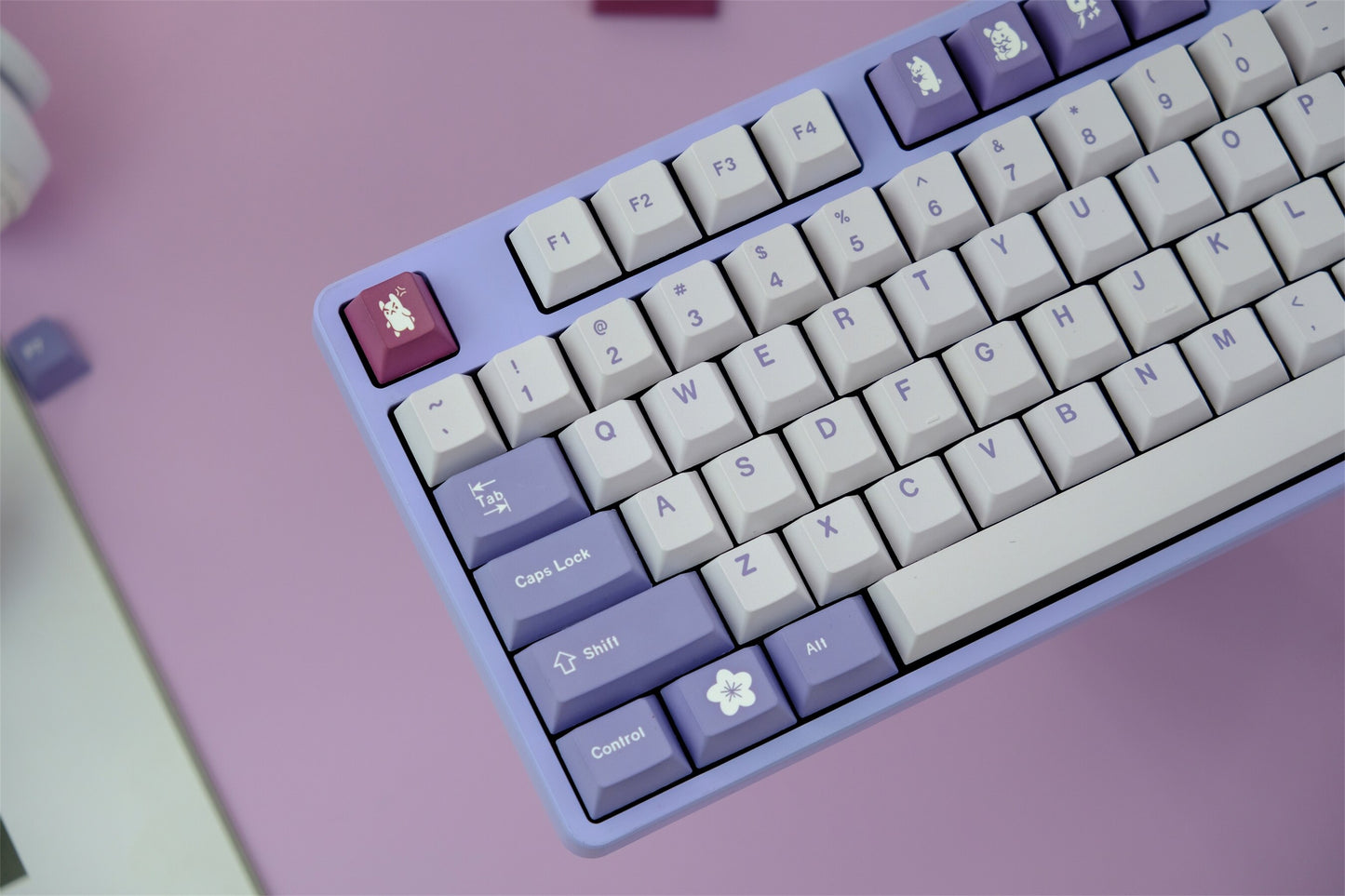 Rabbit cherry profile PBT Keycaps